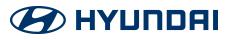 Dhruvdesh Hyundai